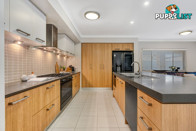 16 Springbrook Place MOGGILL QLD 4070