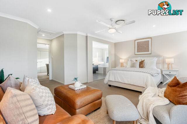 16 Springbrook Place MOGGILL QLD 4070