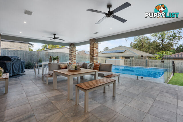 16 Springbrook Place MOGGILL QLD 4070