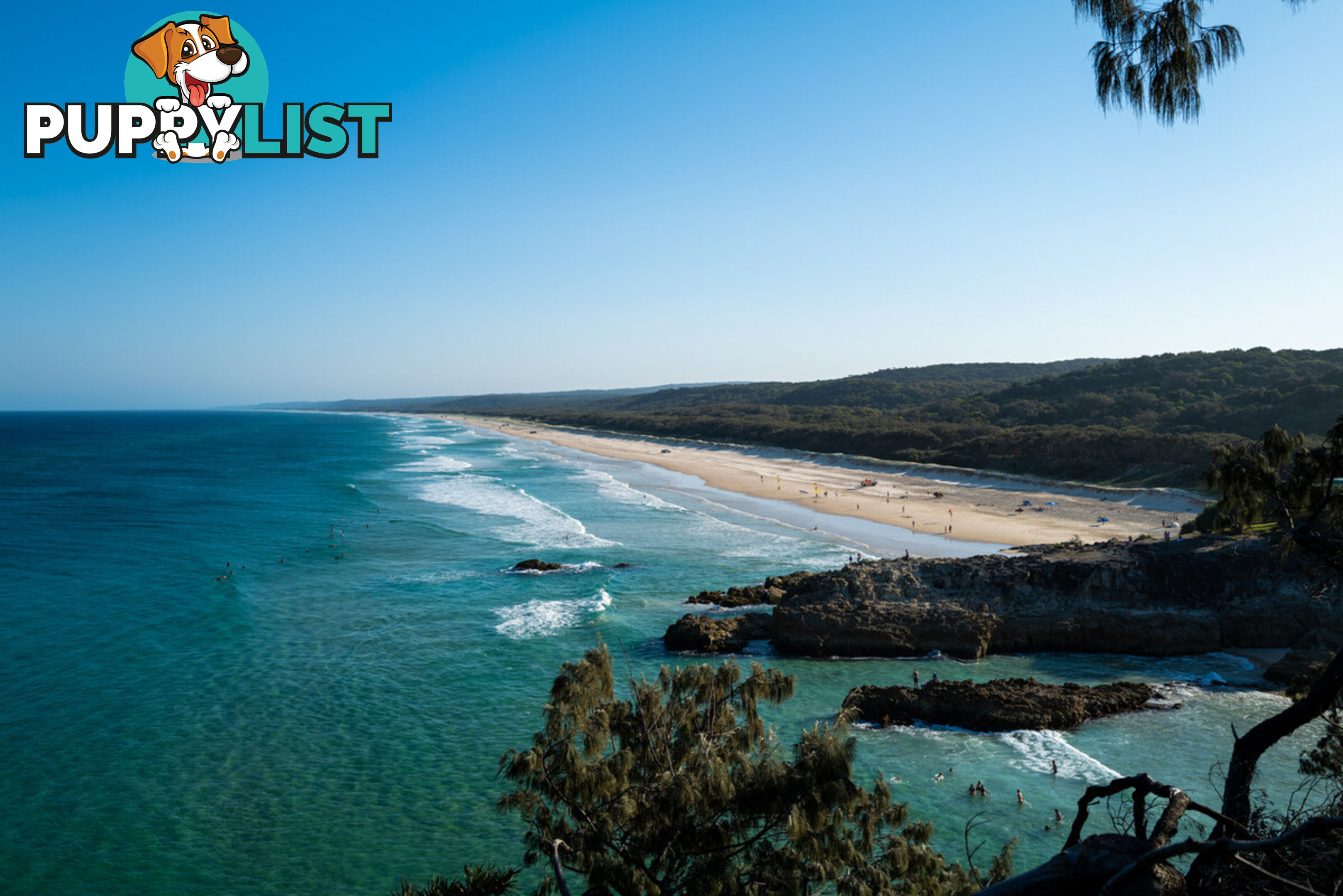 10 Welsby Street DUNWICH QLD 4183