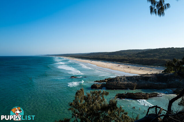 10 Welsby Street DUNWICH QLD 4183