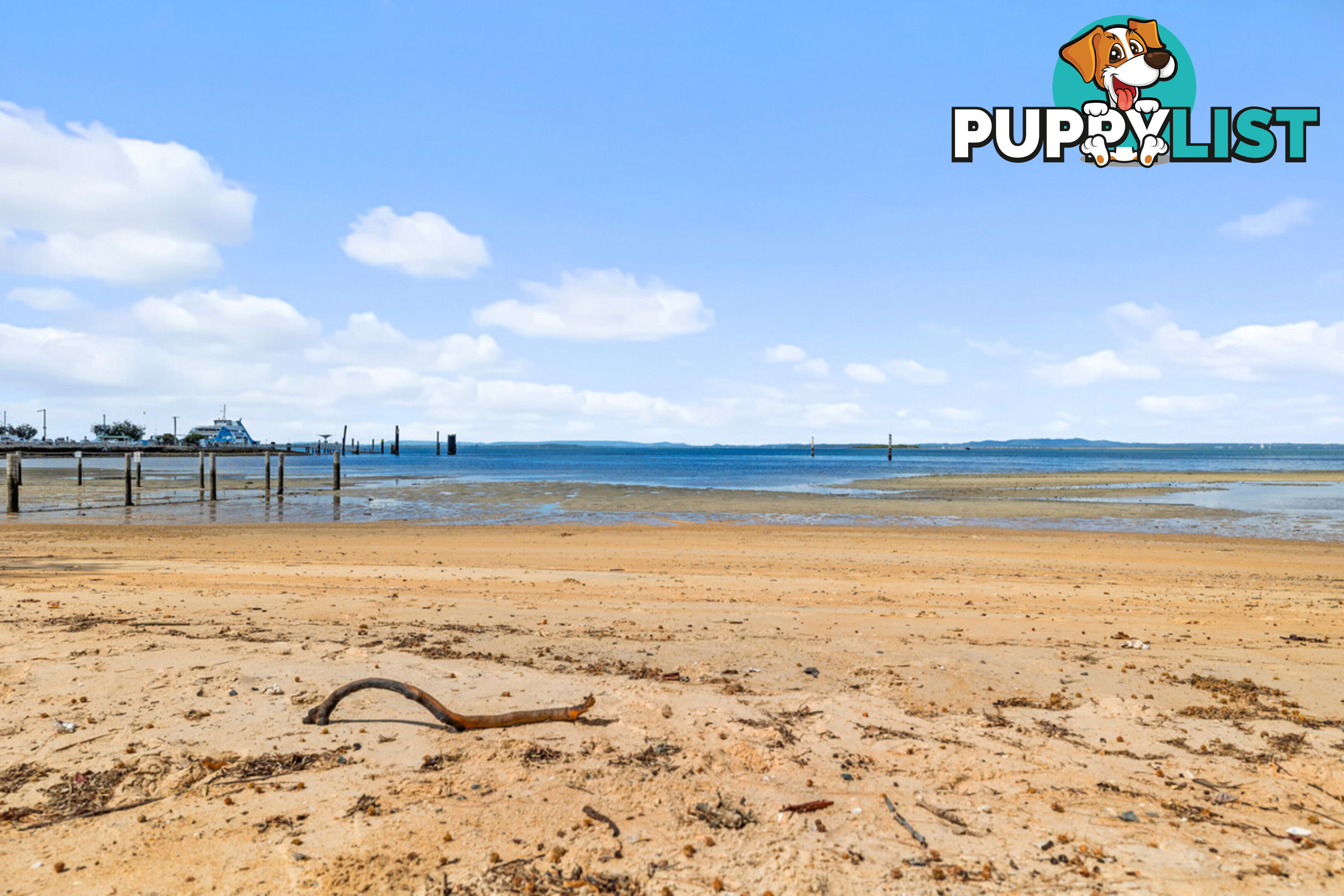 10 Welsby Street DUNWICH QLD 4183