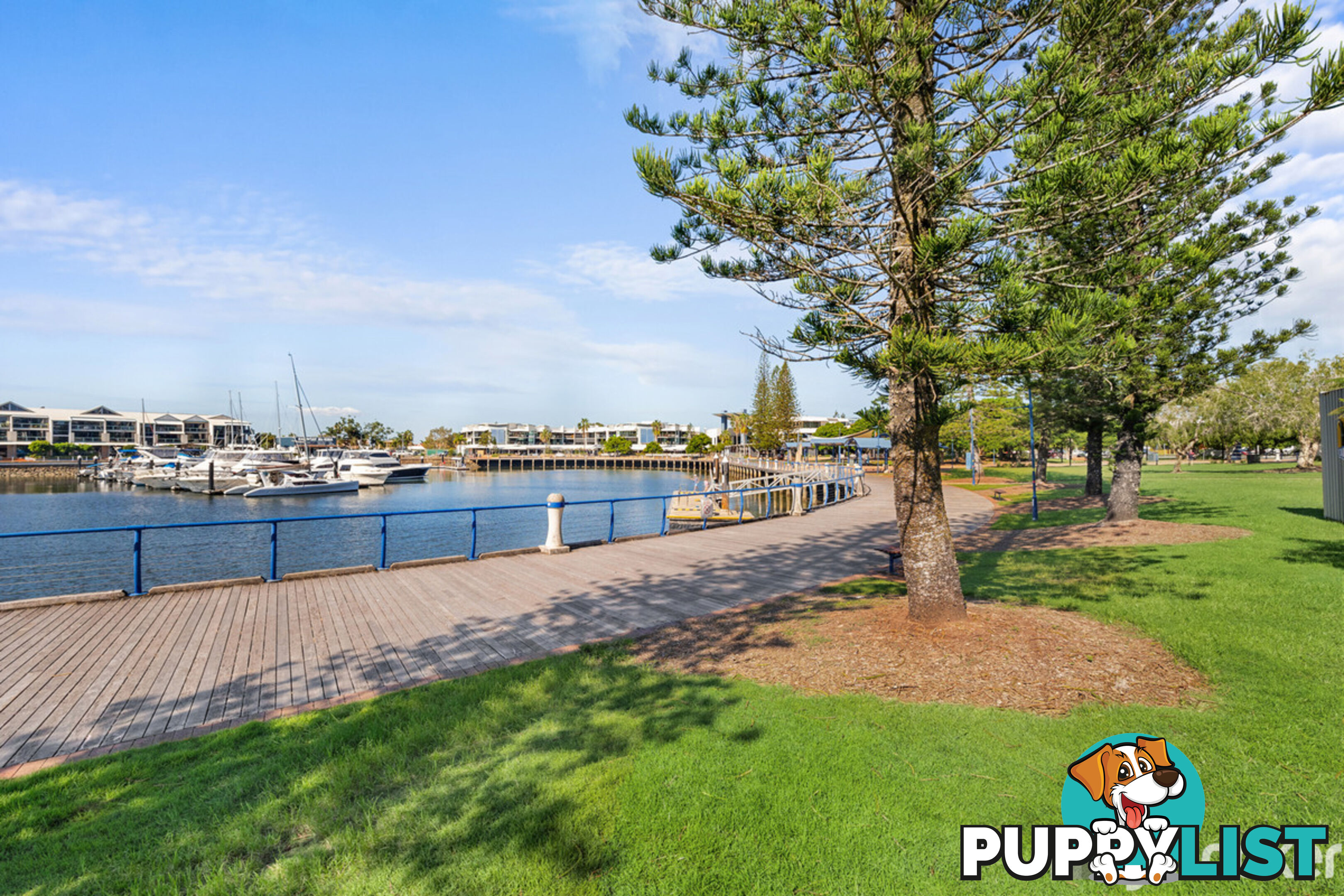 17/135-139 Shore Street West CLEVELAND QLD 4163