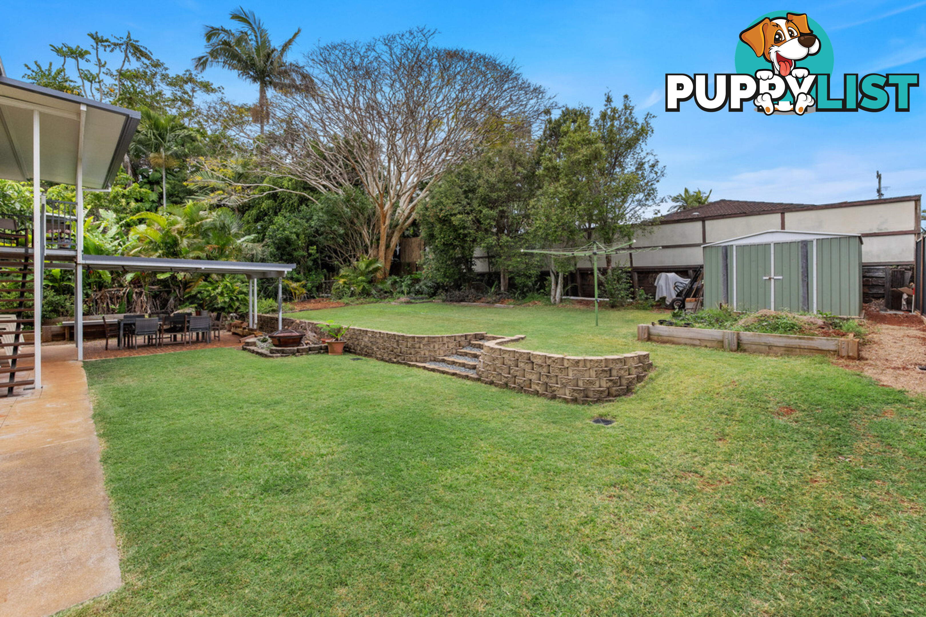 11 Werong Crescent CLEVELAND QLD 4163