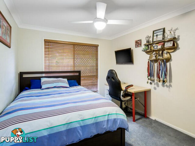 14 Stephen Court CLEVELAND QLD 4163