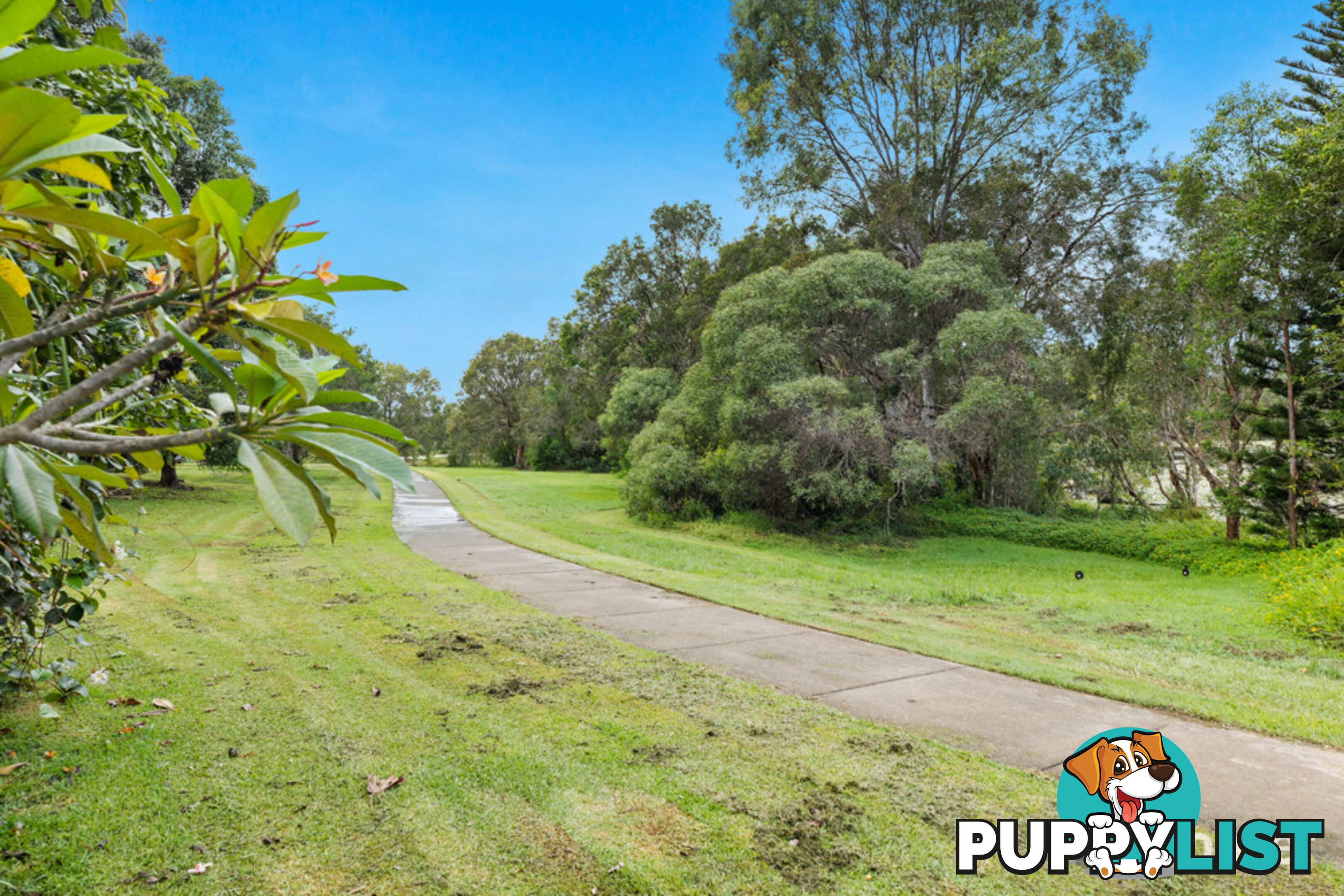 11 Buenavista Avenue THORNLANDS QLD 4164