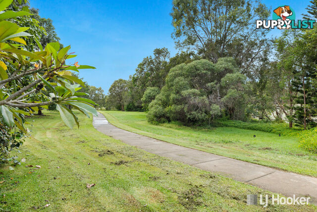 11 Buenavista Avenue THORNLANDS QLD 4164