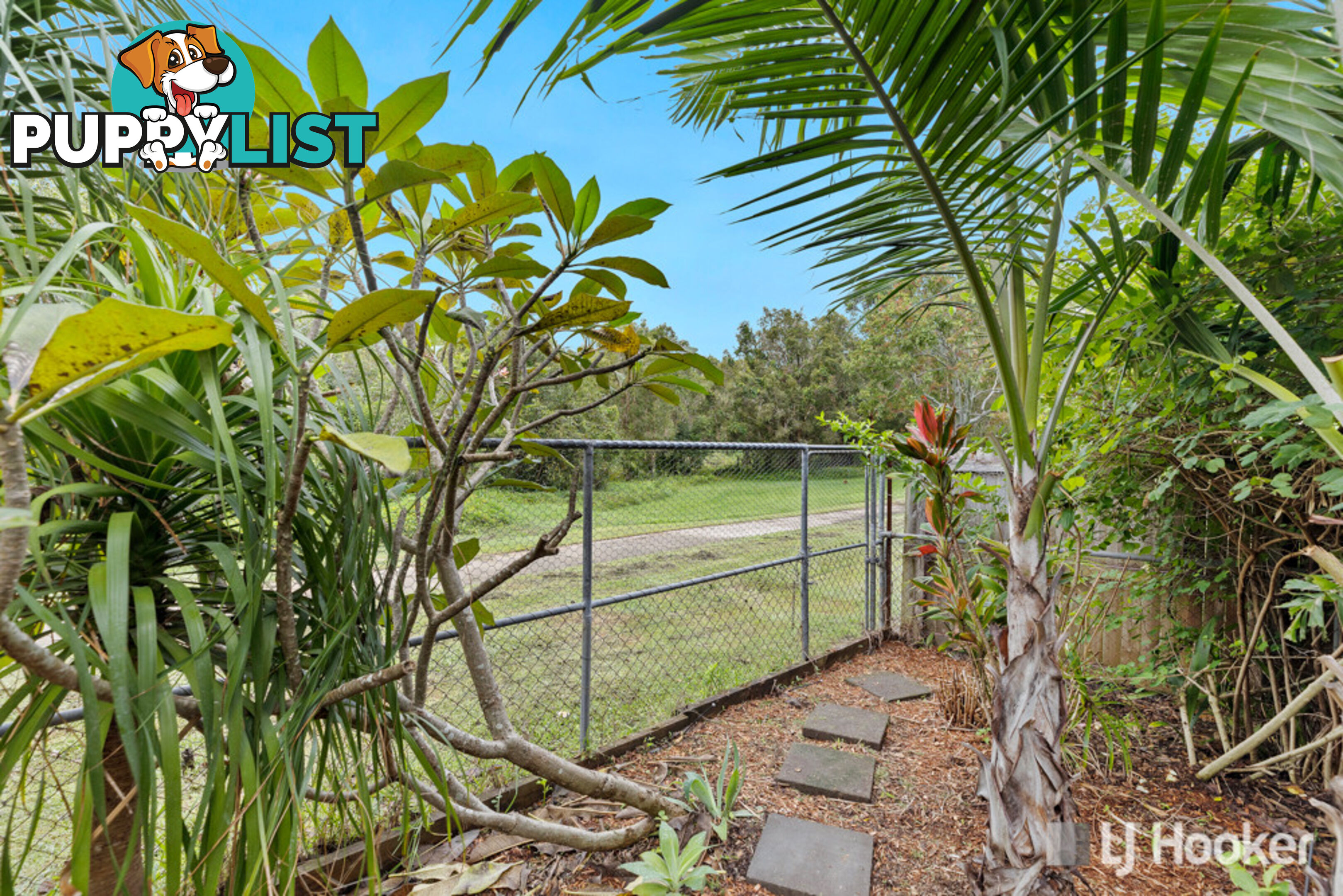 11 Buenavista Avenue THORNLANDS QLD 4164