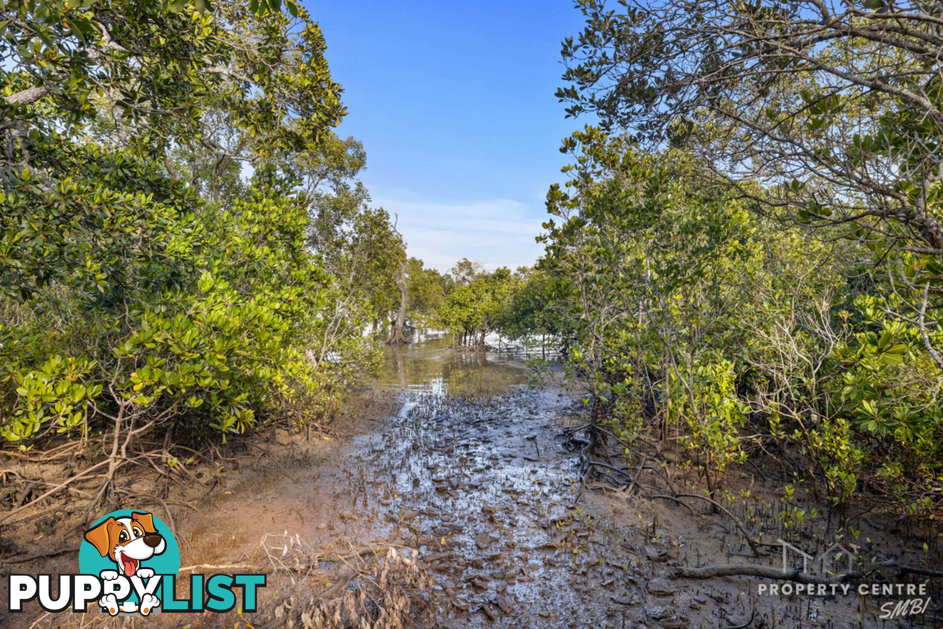 142-144 Canaipa Point Drive RUSSELL ISLAND QLD 4184