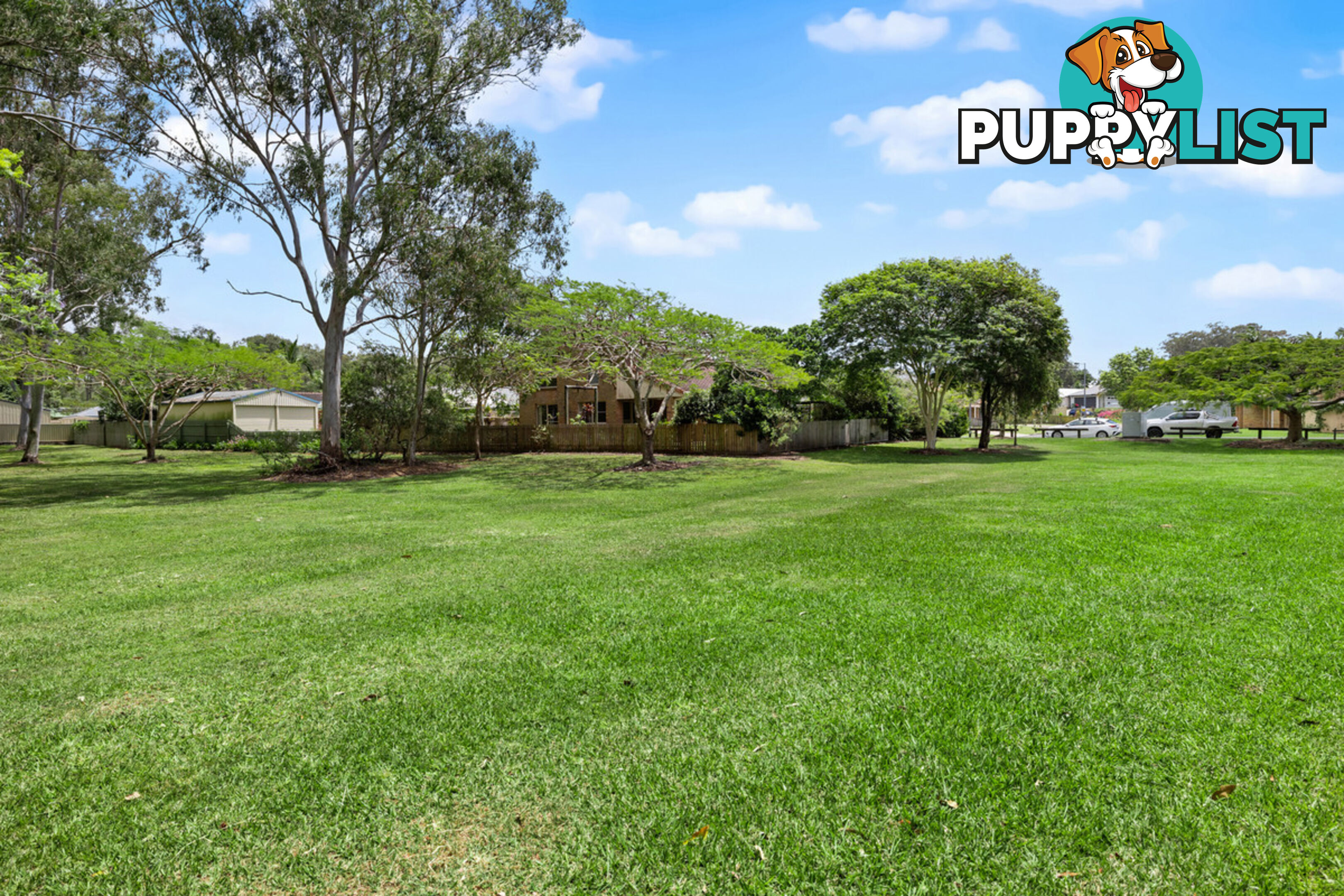 10 Tulipwood Drive BIRKDALE QLD 4159