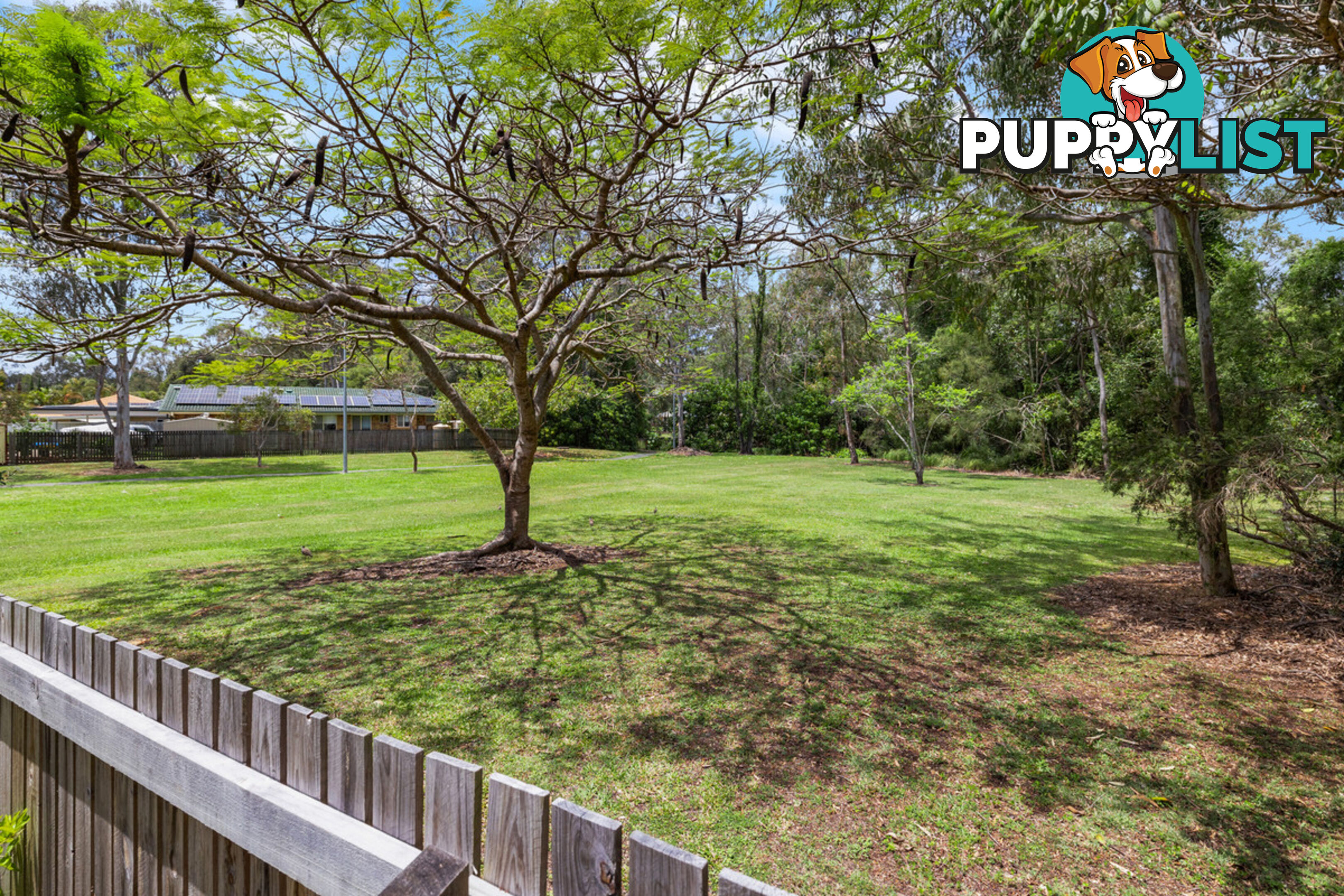 10 Tulipwood Drive BIRKDALE QLD 4159