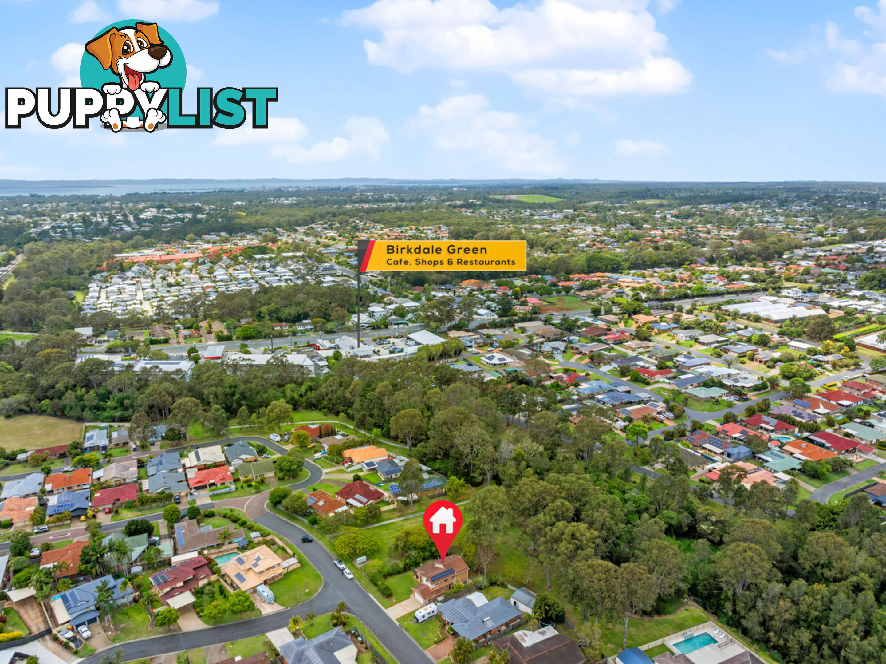 10 Tulipwood Drive BIRKDALE QLD 4159