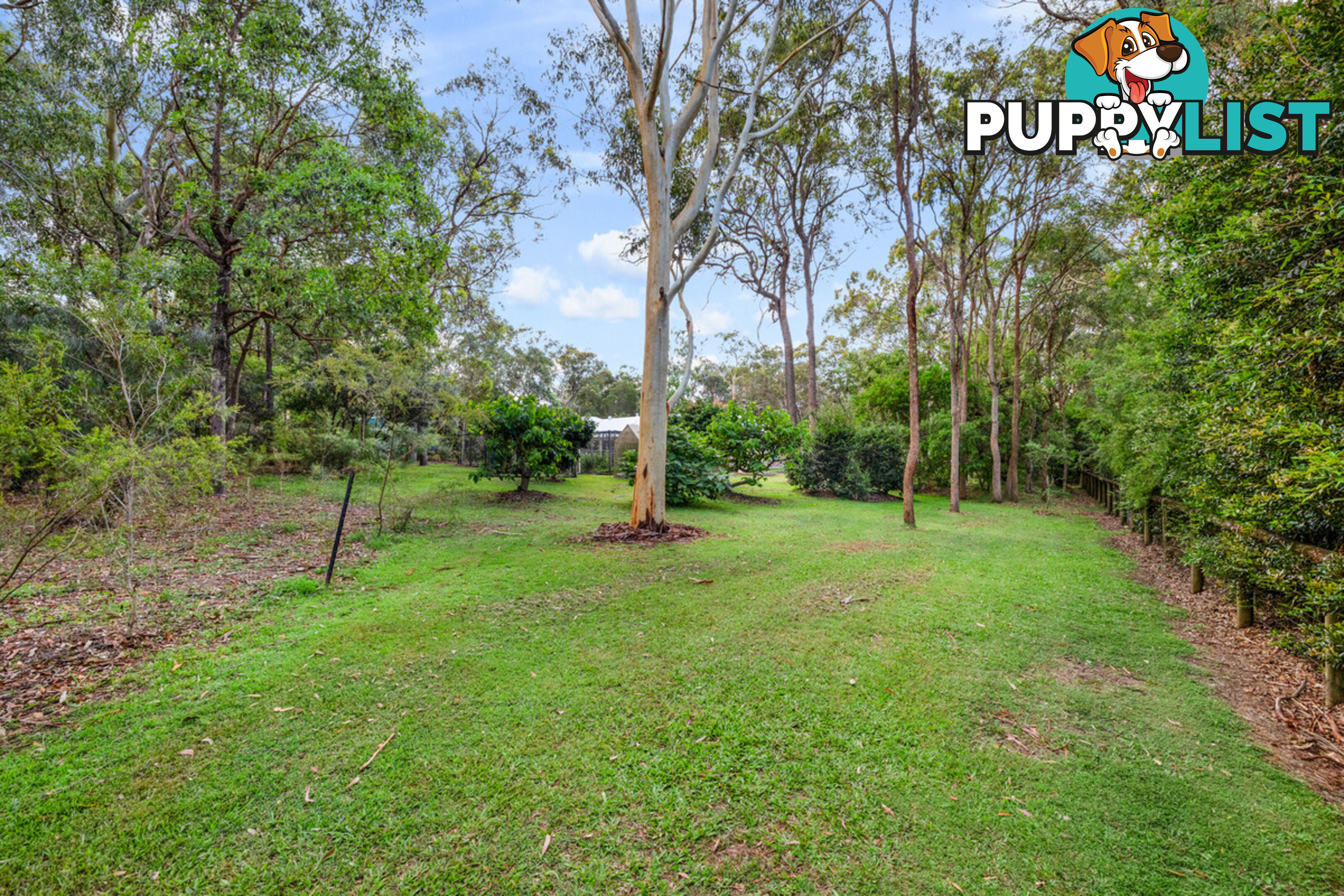 32 Korawal Street CAPALABA QLD 4157