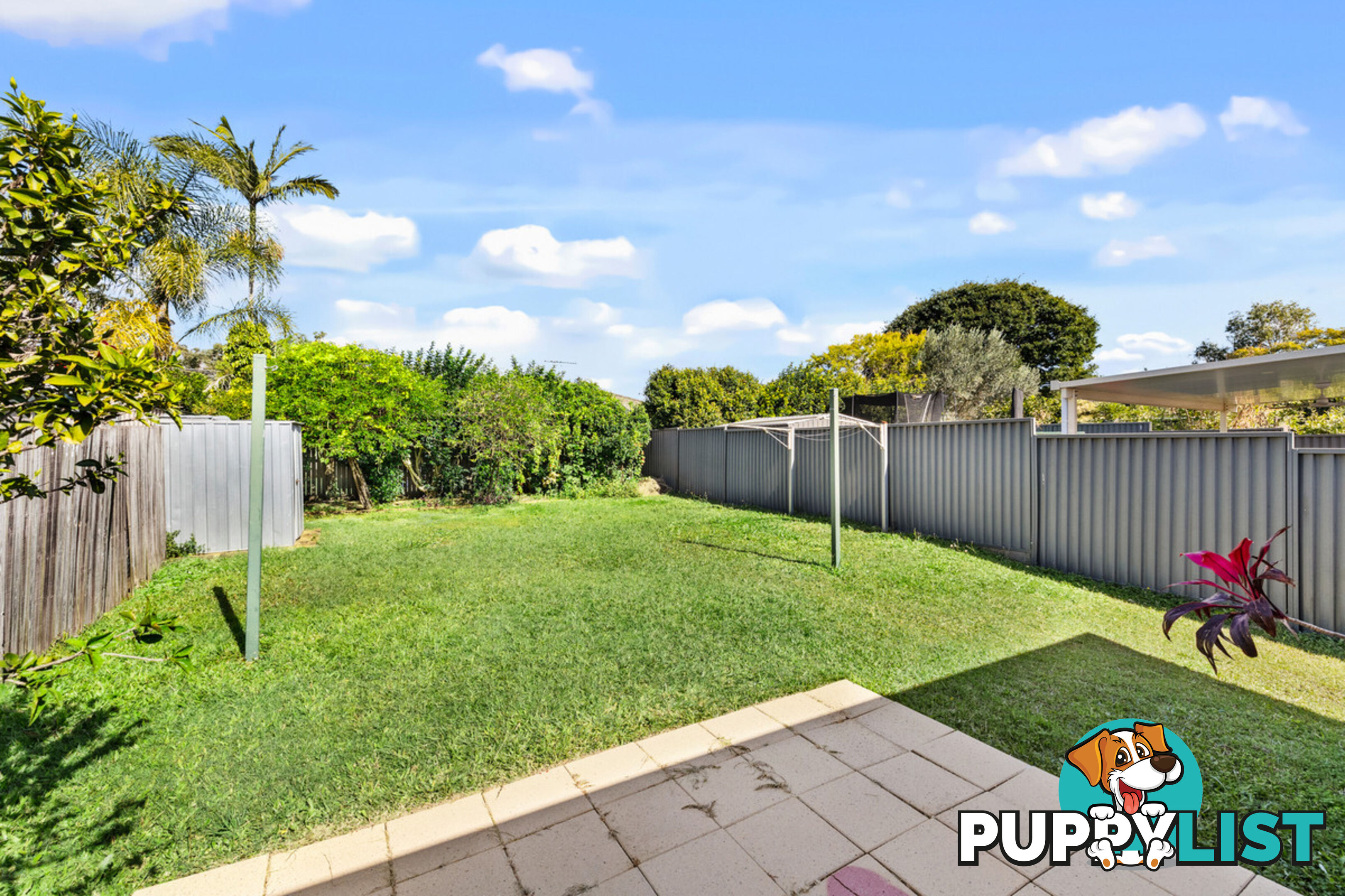 1/41 Wren Court BIRKDALE QLD 4159