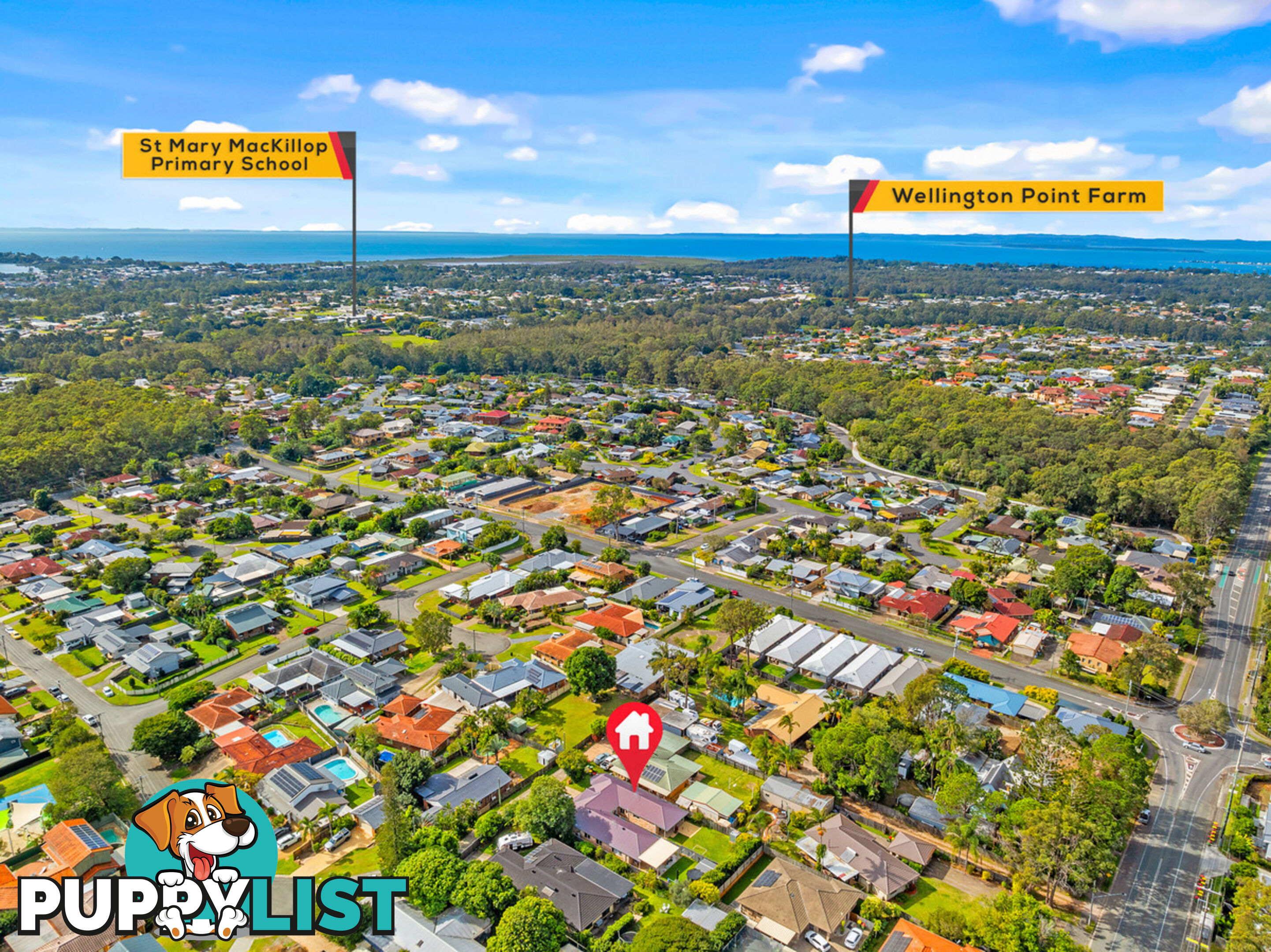 1/41 Wren Court BIRKDALE QLD 4159