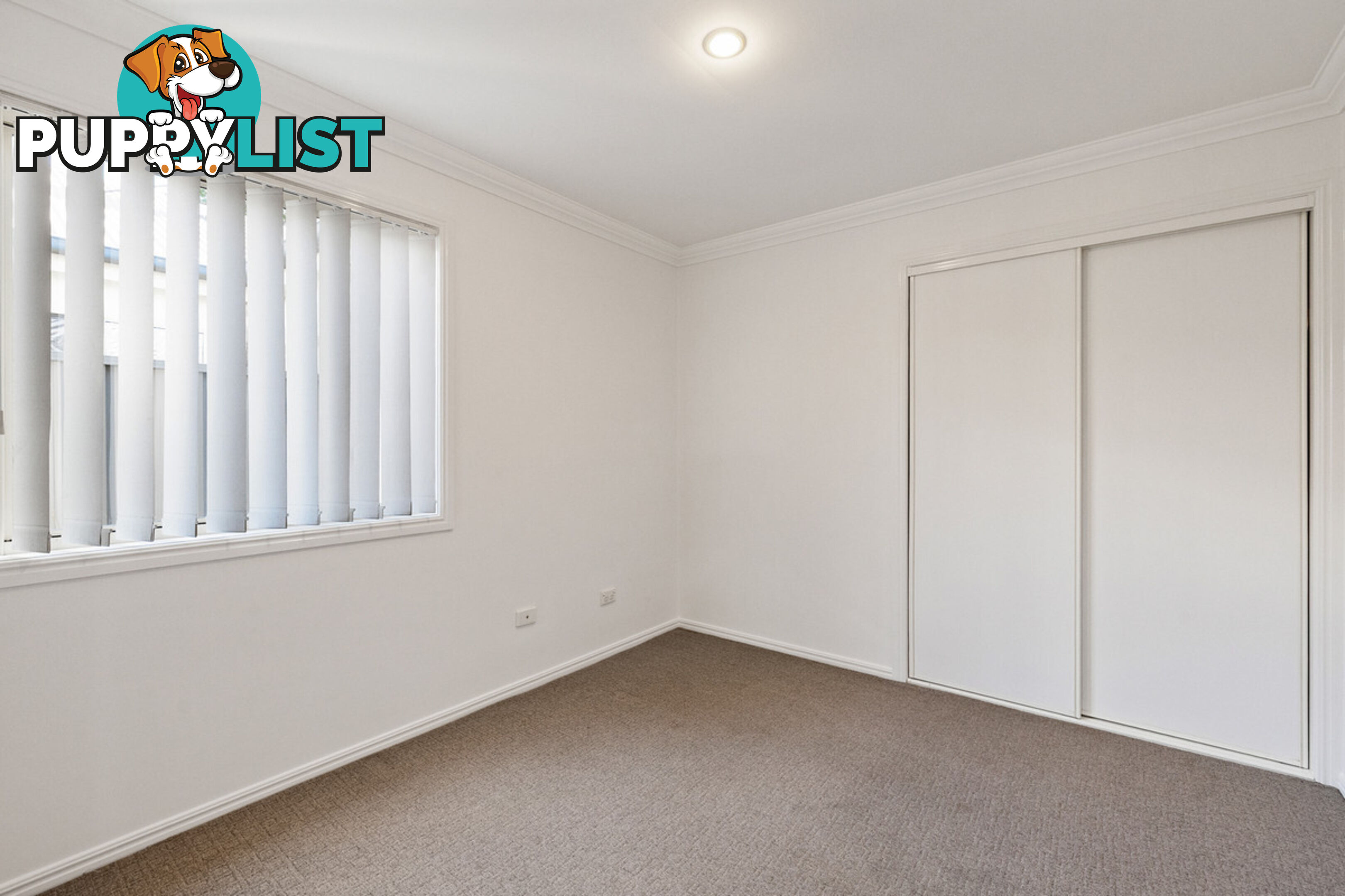 1/41 Wren Court BIRKDALE QLD 4159