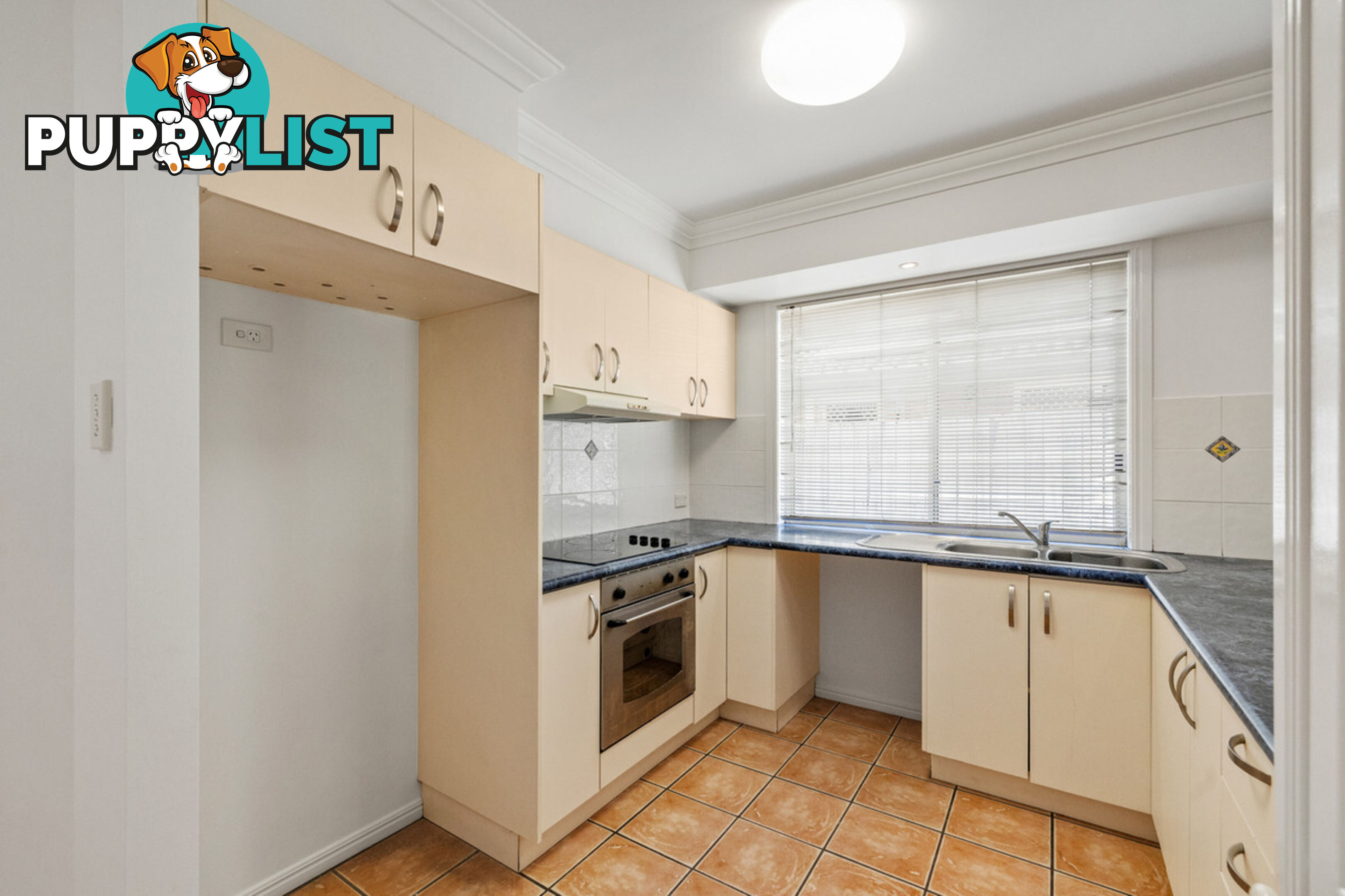 1/41 Wren Court BIRKDALE QLD 4159