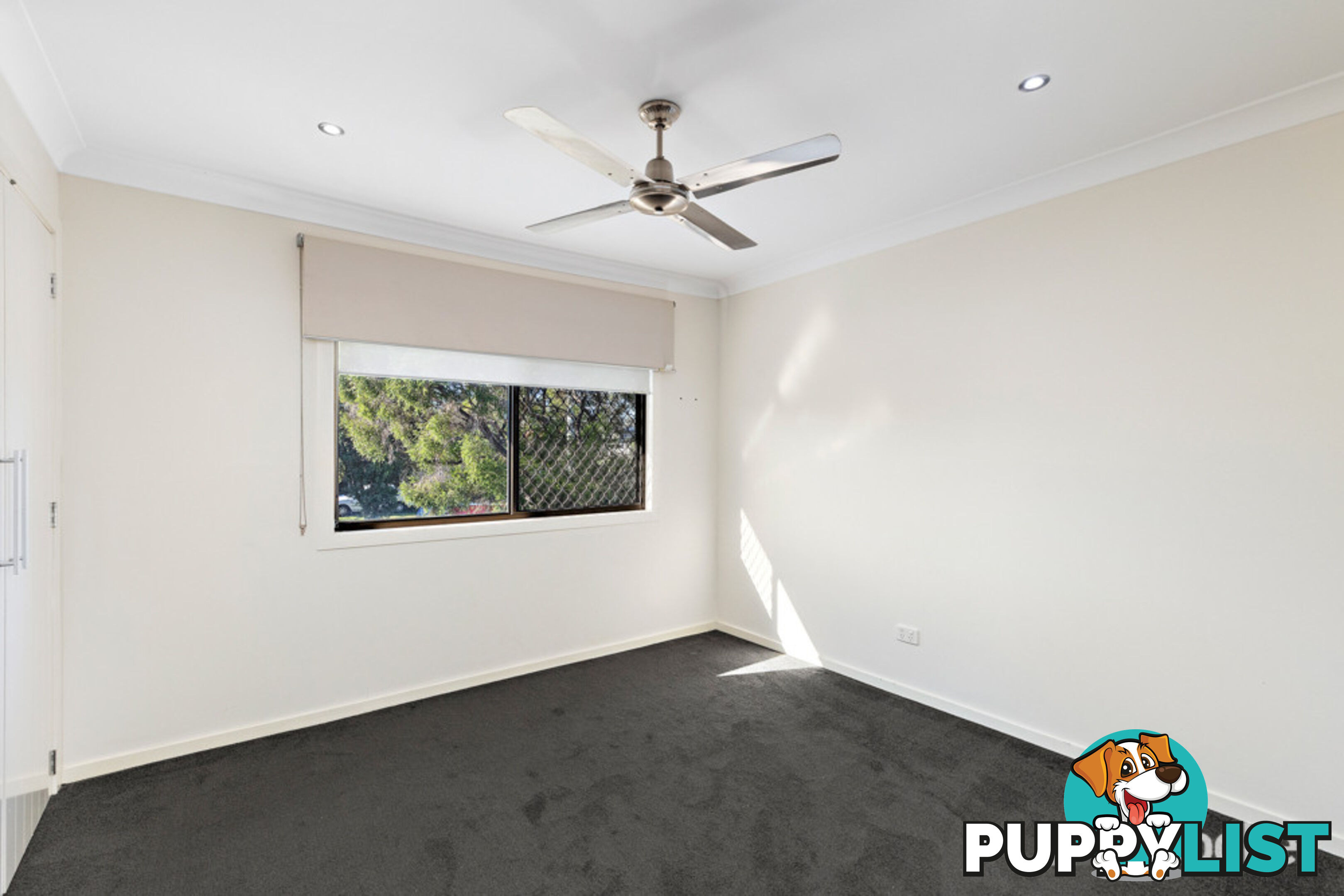 2 Sturt Street CLEVELAND QLD 4163