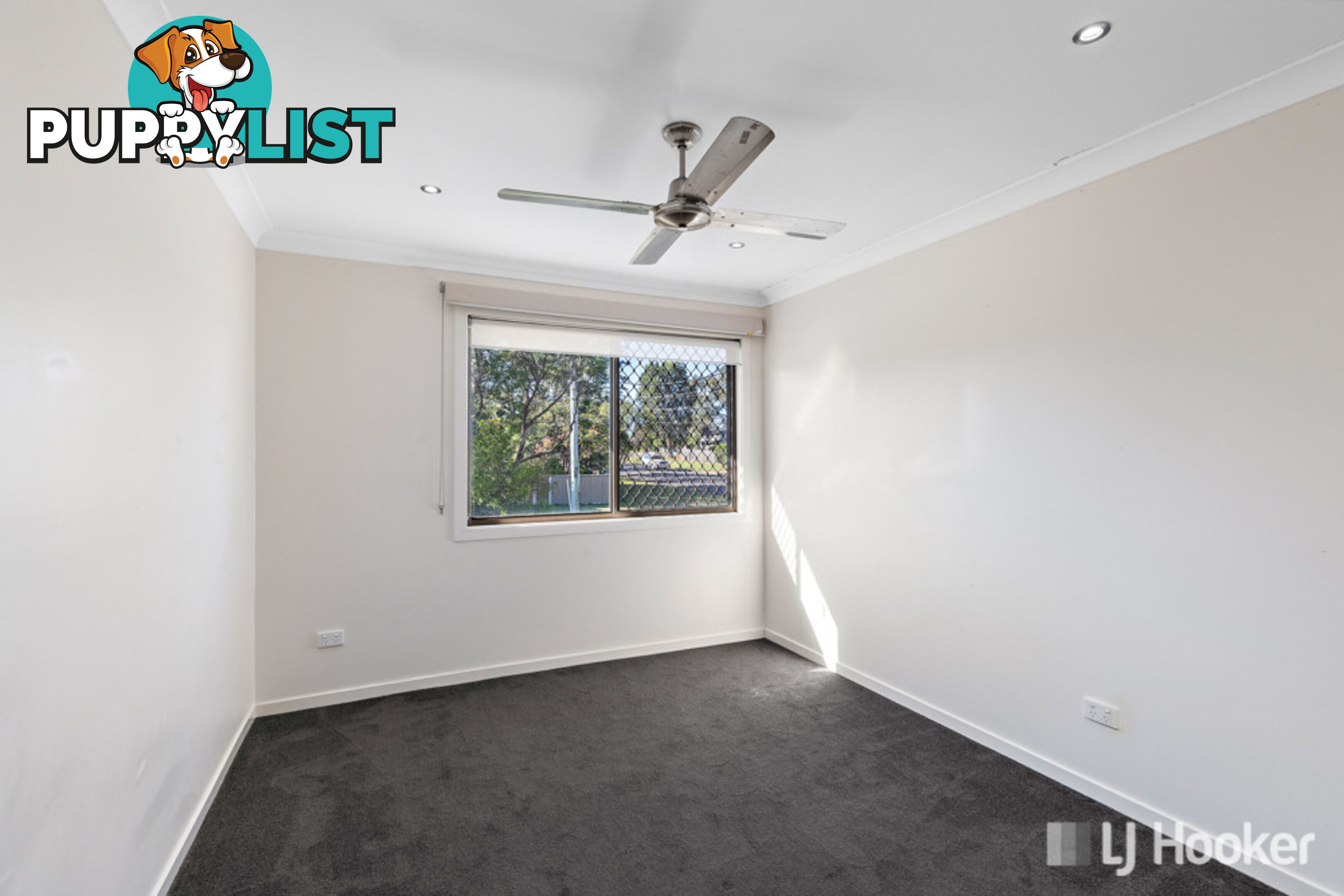 2 Sturt Street CLEVELAND QLD 4163