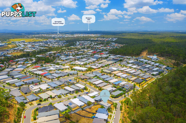 1 Balm Avenue SPRINGFIELD LAKES QLD 4300