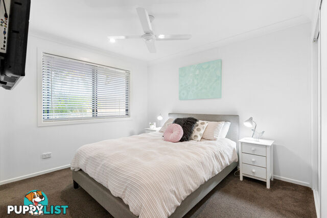 35 Parkgrove Street BIRKDALE QLD 4159