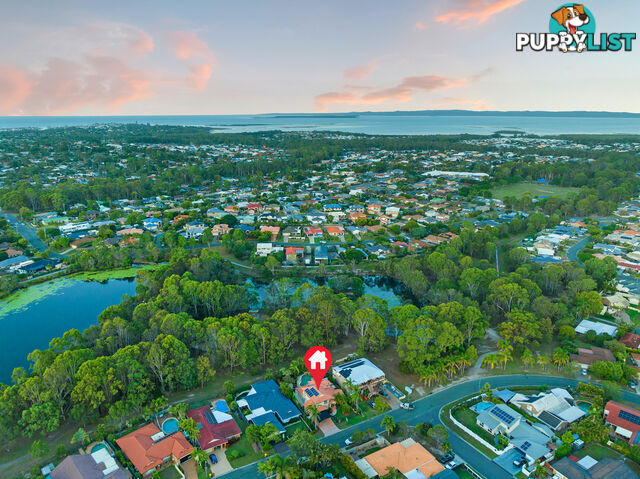 42 Riesling Street THORNLANDS QLD 4164