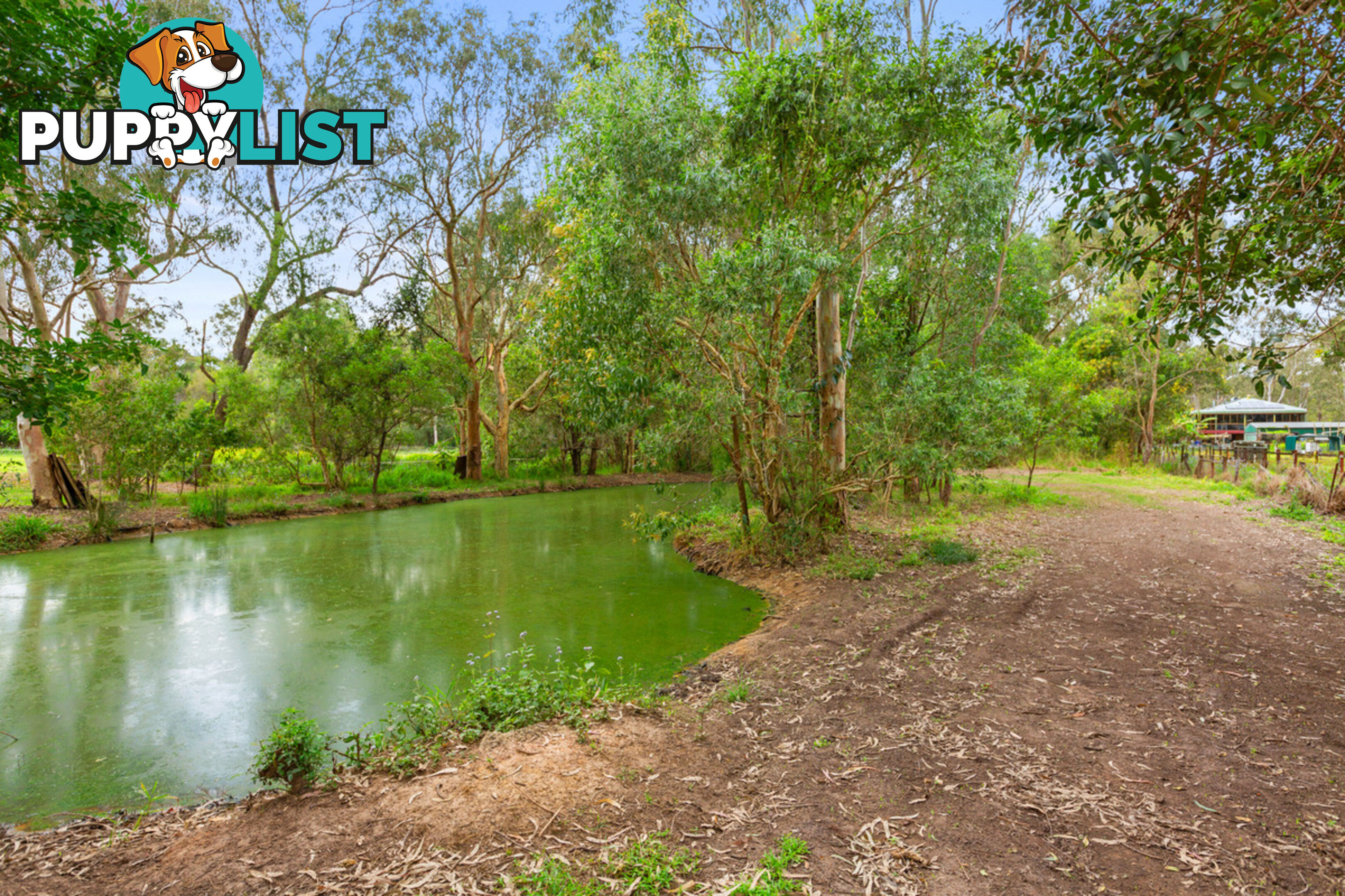 308 Greencamp Road WAKERLEY QLD 4154