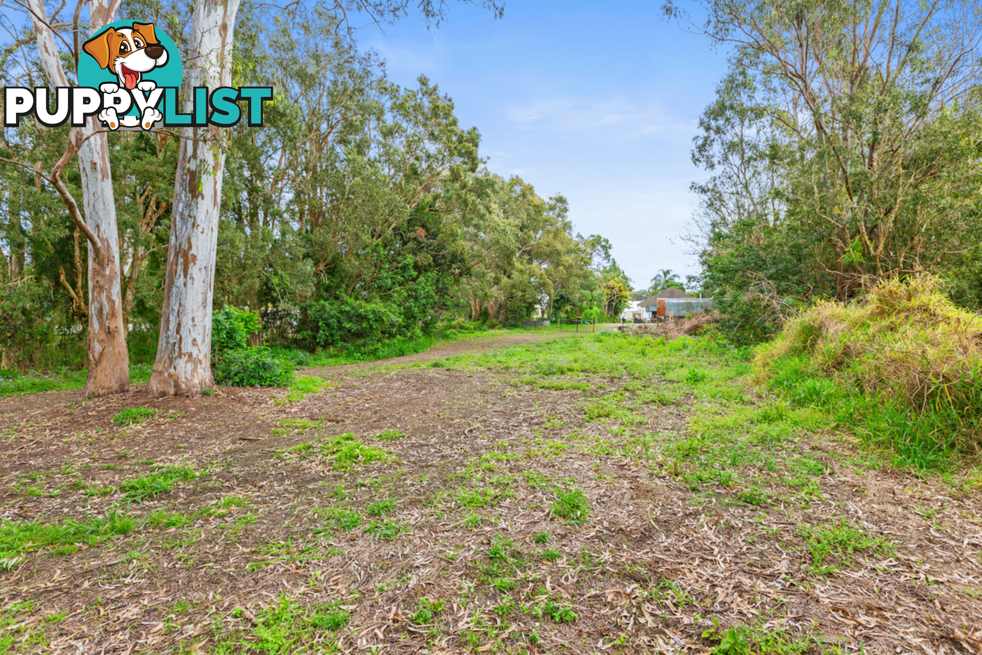 308 Greencamp Road WAKERLEY QLD 4154