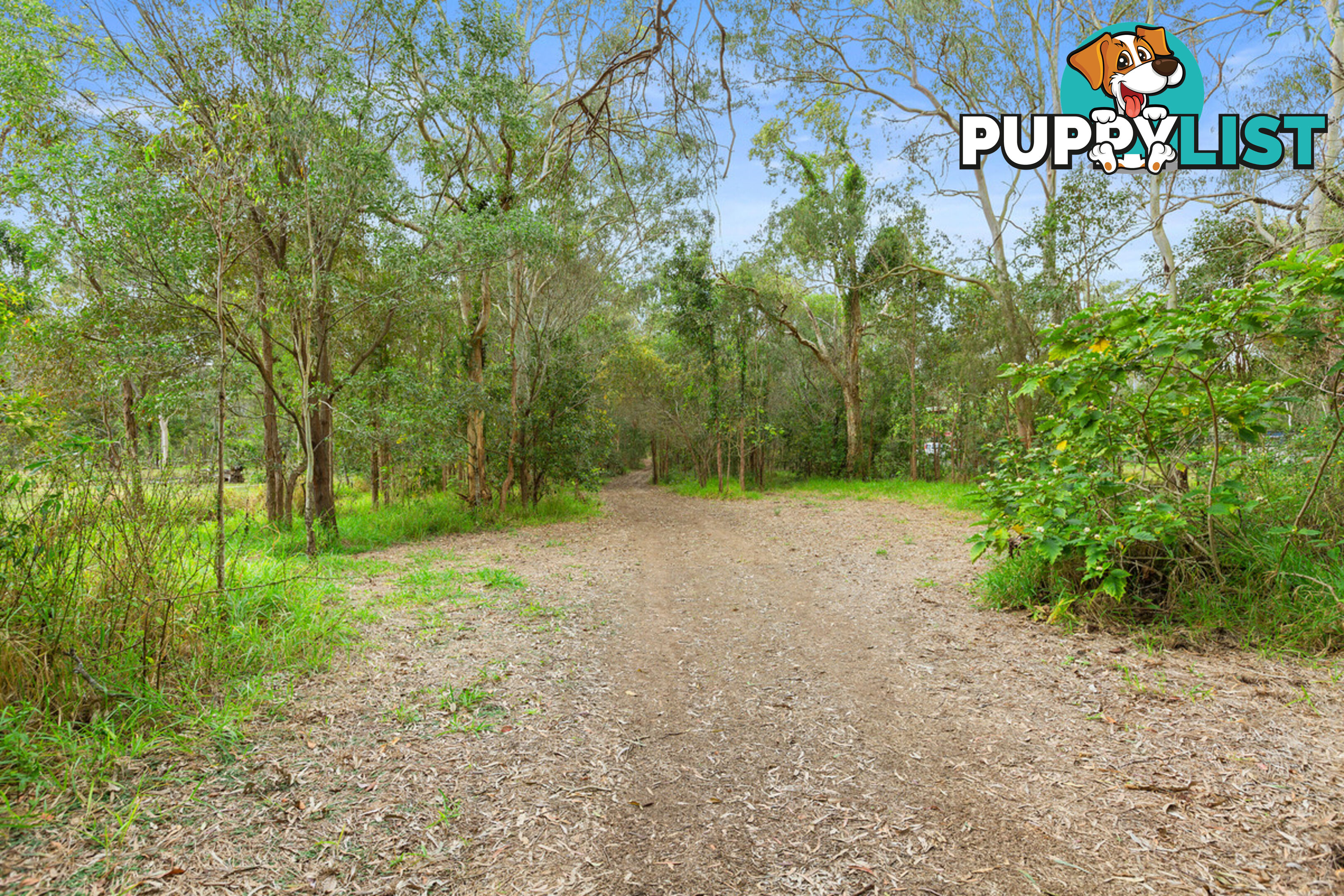 308 Greencamp Road WAKERLEY QLD 4154