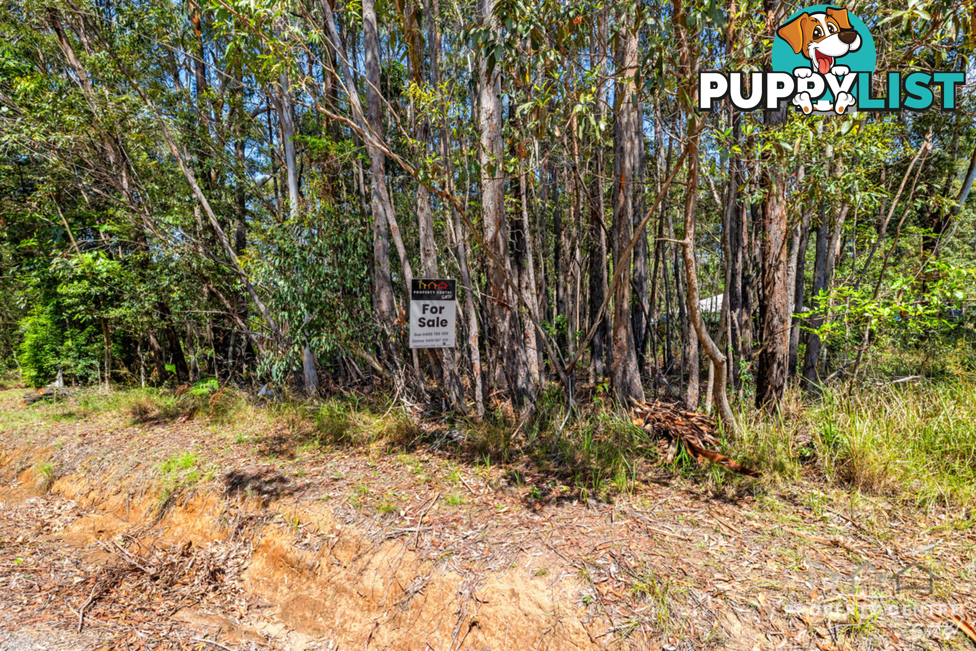 21 Currong Street RUSSELL ISLAND QLD 4184