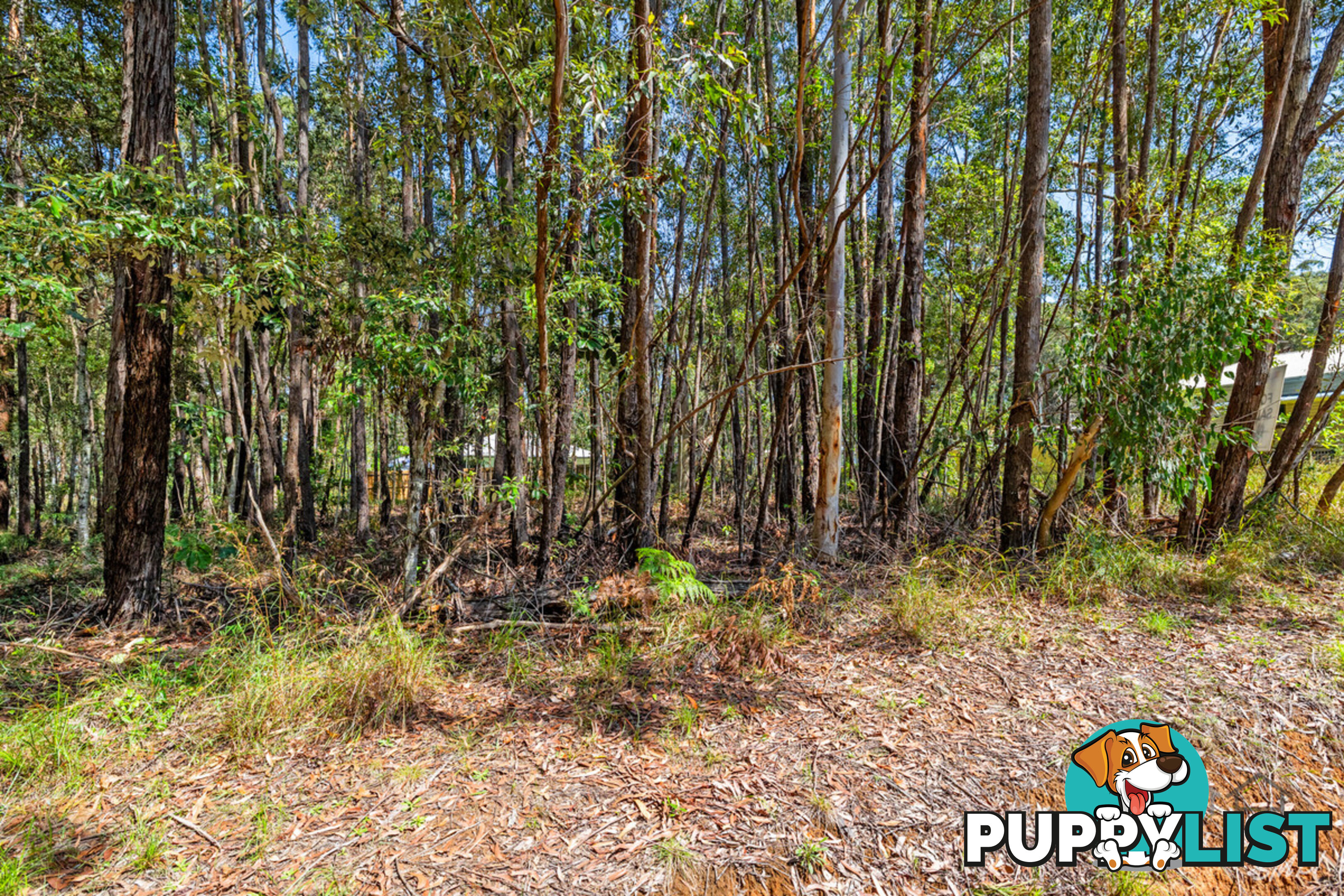 21 Currong Street RUSSELL ISLAND QLD 4184