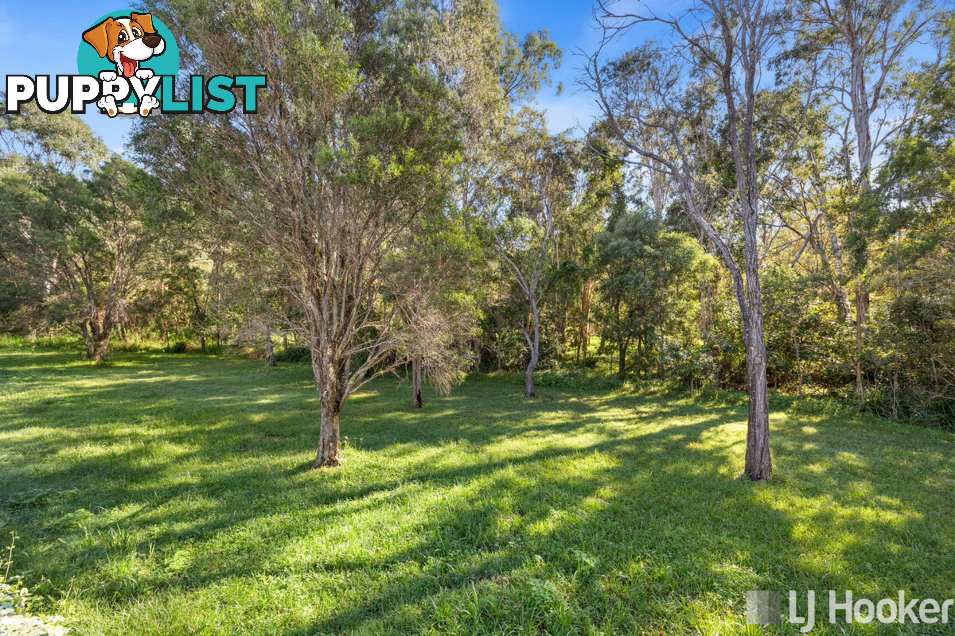 9 River Gum Close THORNLANDS QLD 4164