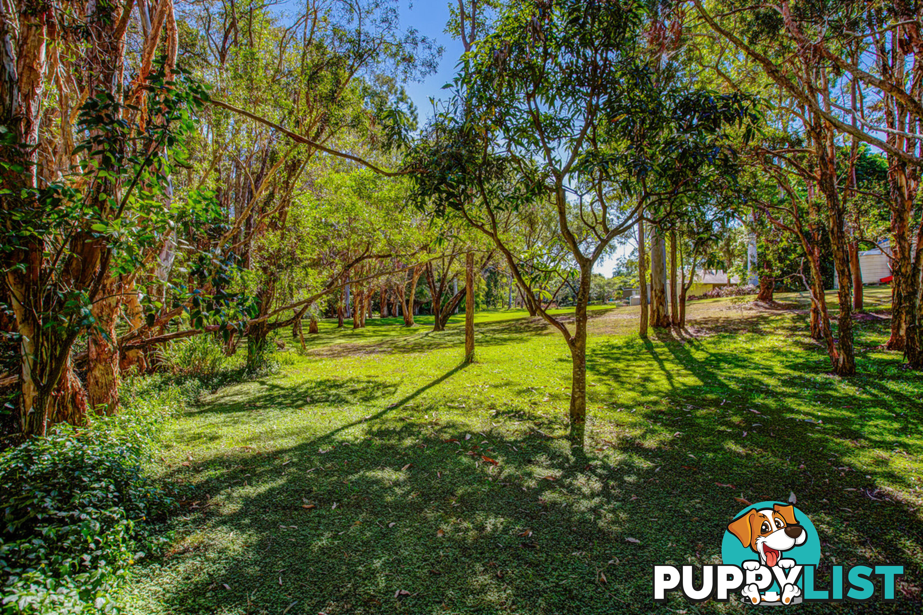 57 Timor Avenue LOGANHOLME QLD 4129