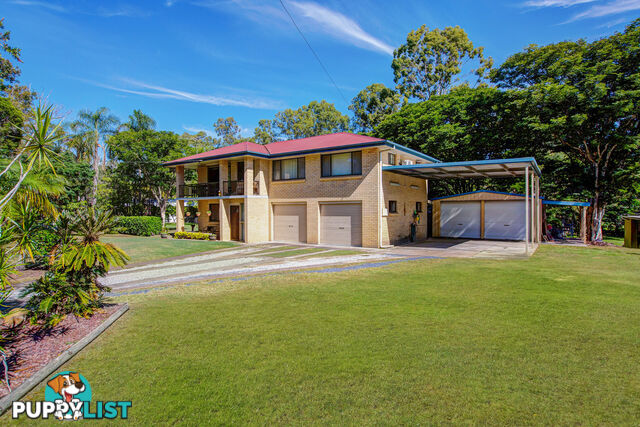 57 Timor Avenue LOGANHOLME QLD 4129