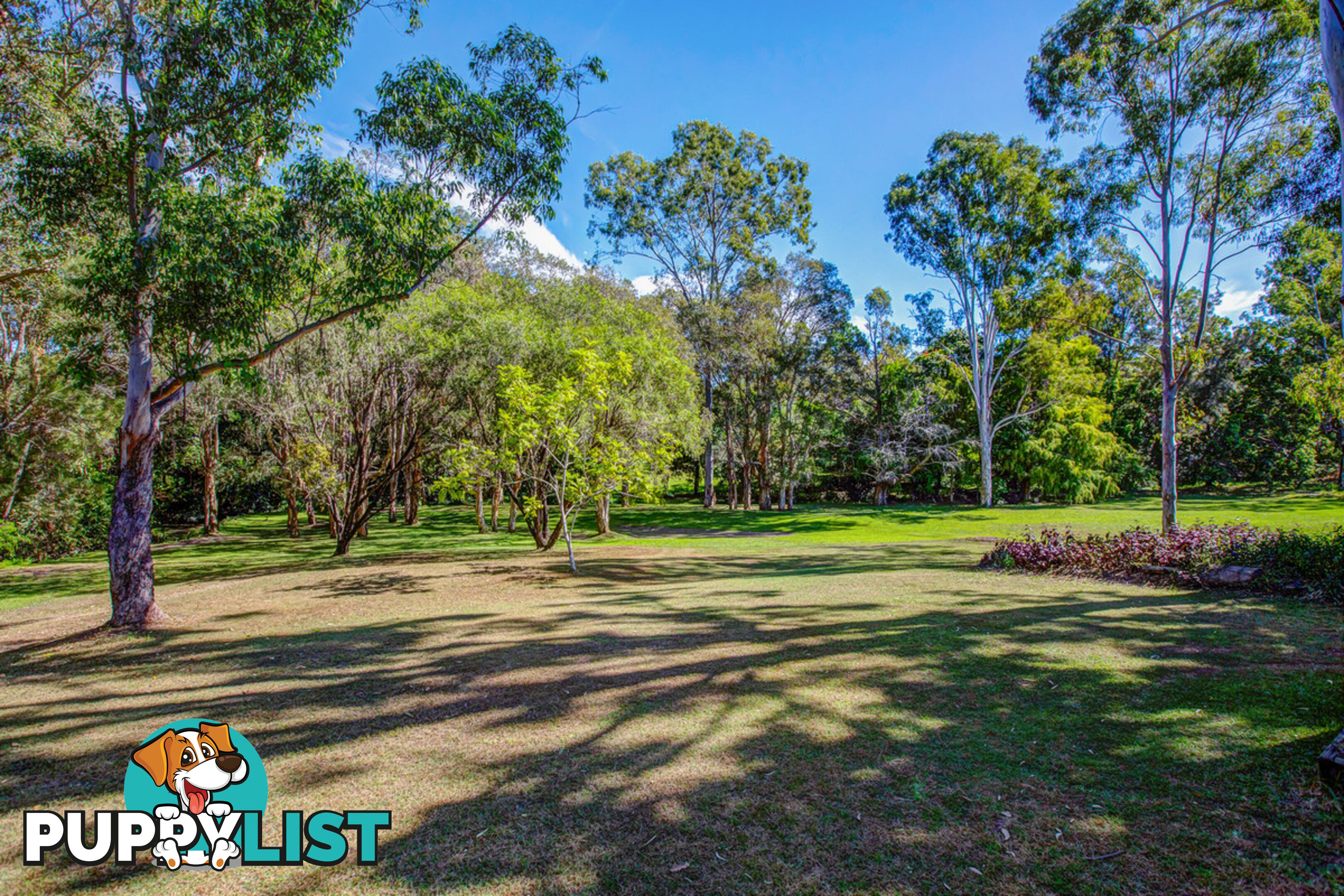 57 Timor Avenue LOGANHOLME QLD 4129