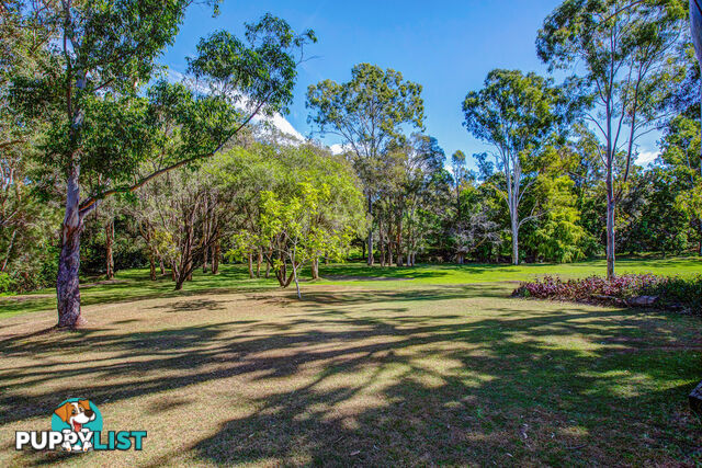 57 Timor Avenue LOGANHOLME QLD 4129