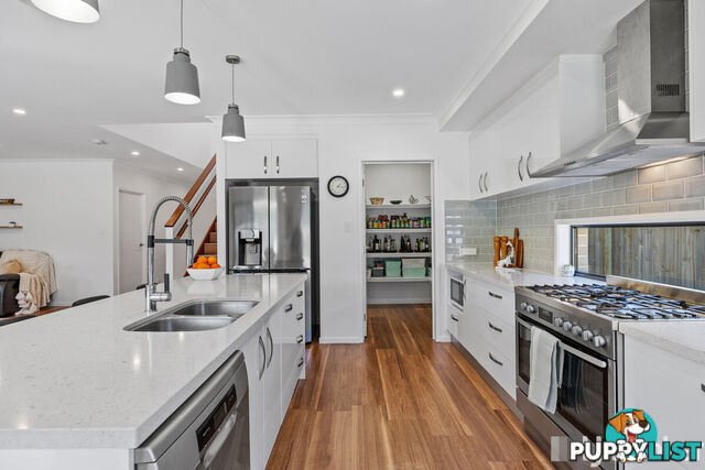 31 Highgrove Street THORNLANDS QLD 4164