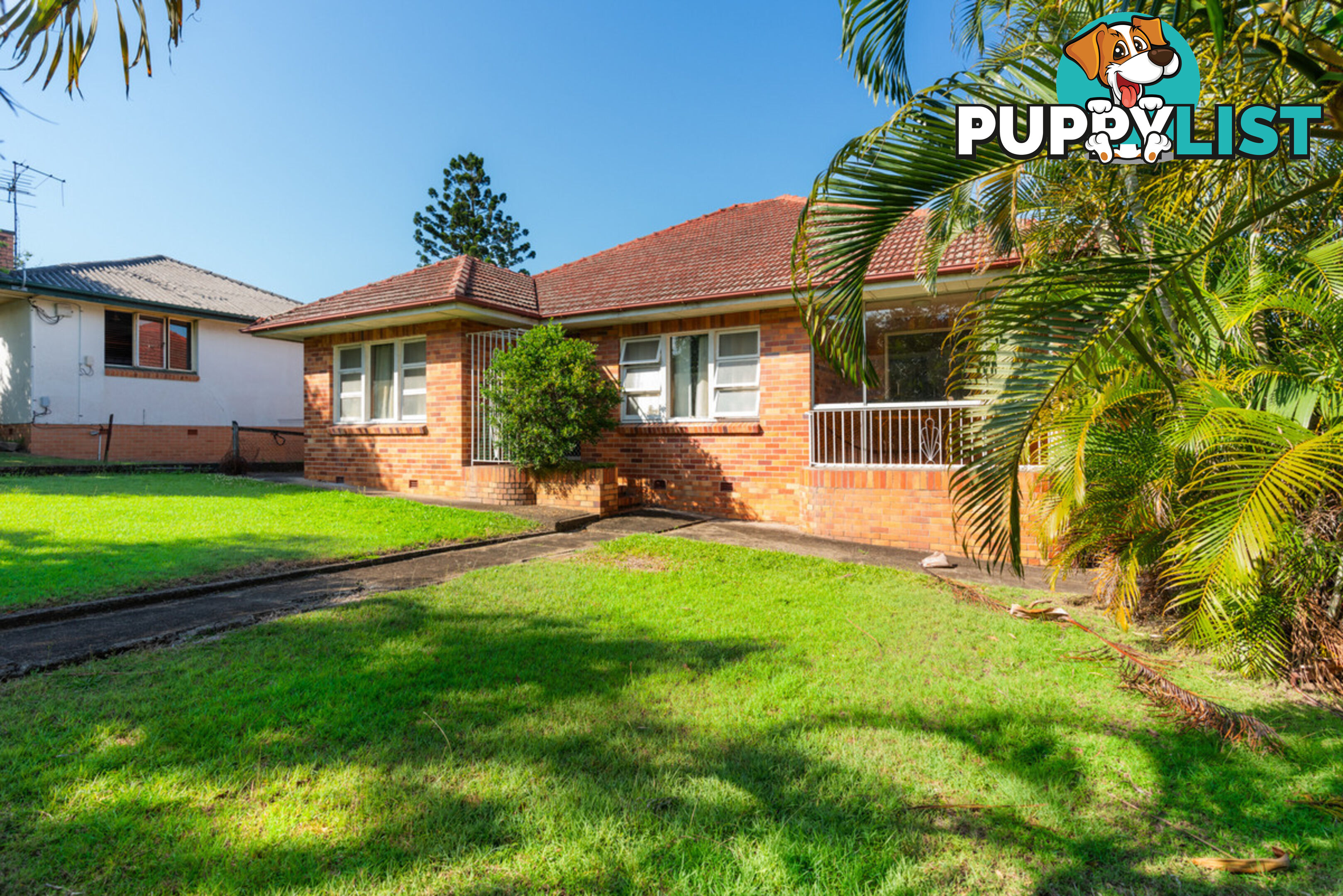 8 Cadell Street TOOWONG QLD 4066