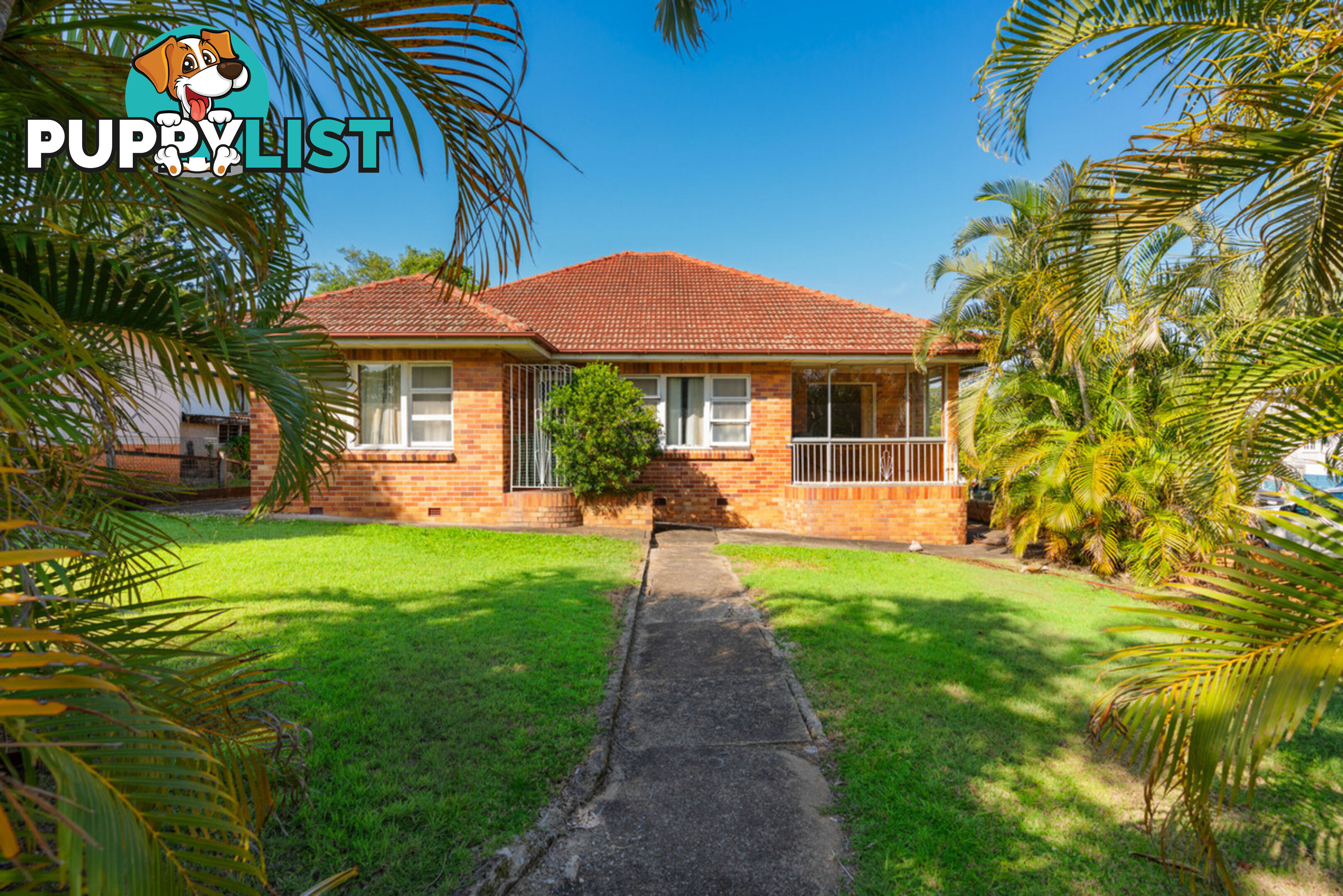 8 Cadell Street TOOWONG QLD 4066