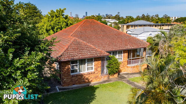 8 Cadell Street TOOWONG QLD 4066