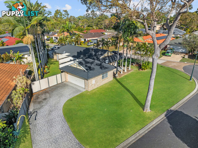 12 Greenwich Court ALEXANDRA HILLS QLD 4161