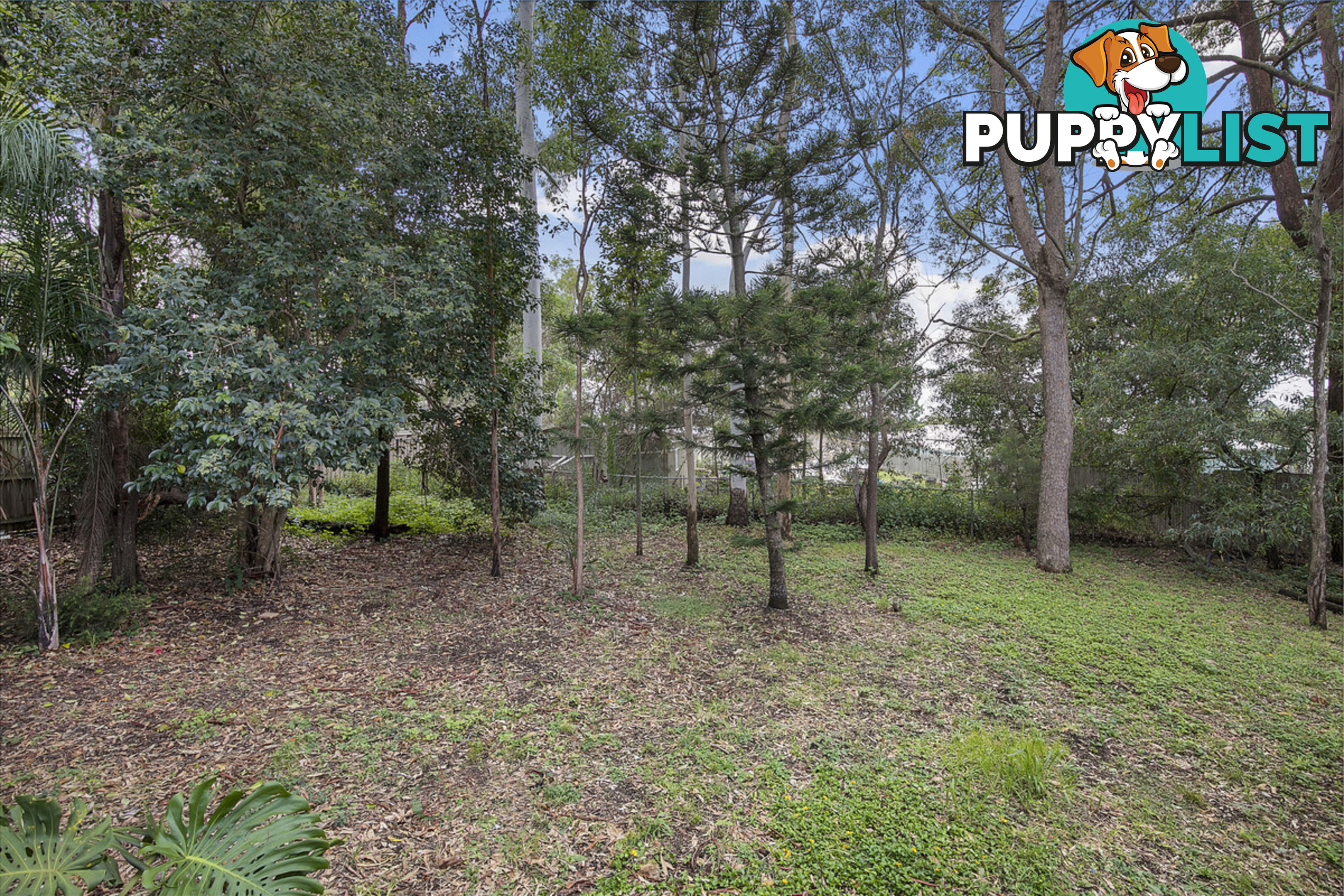 19 Beenwerrin Crescent CAPALABA QLD 4157