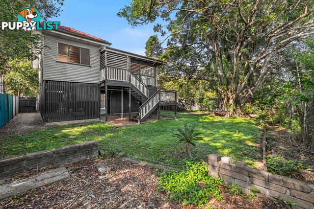 57 Gladstone Street COORPAROO QLD 4151