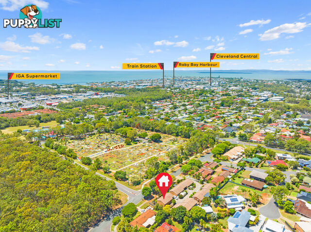 1/225-227 Coburg Street West CLEVELAND QLD 4163