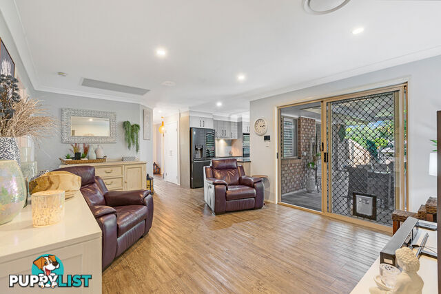 8 Sapphire Drive ALEXANDRA HILLS QLD 4161