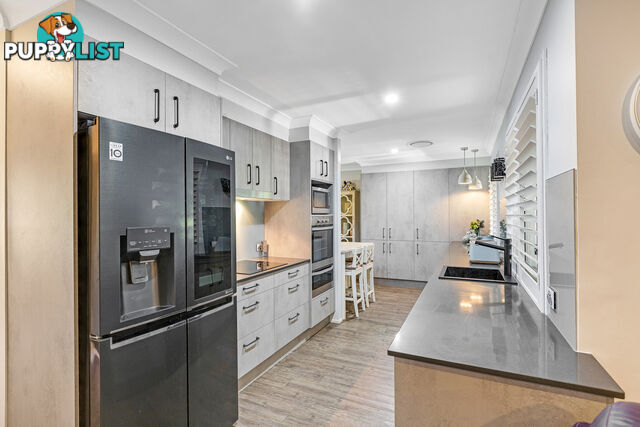 8 Sapphire Drive ALEXANDRA HILLS QLD 4161