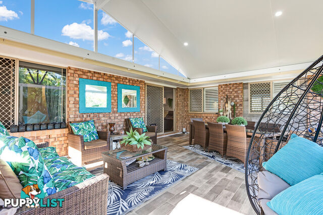 8 Sapphire Drive ALEXANDRA HILLS QLD 4161