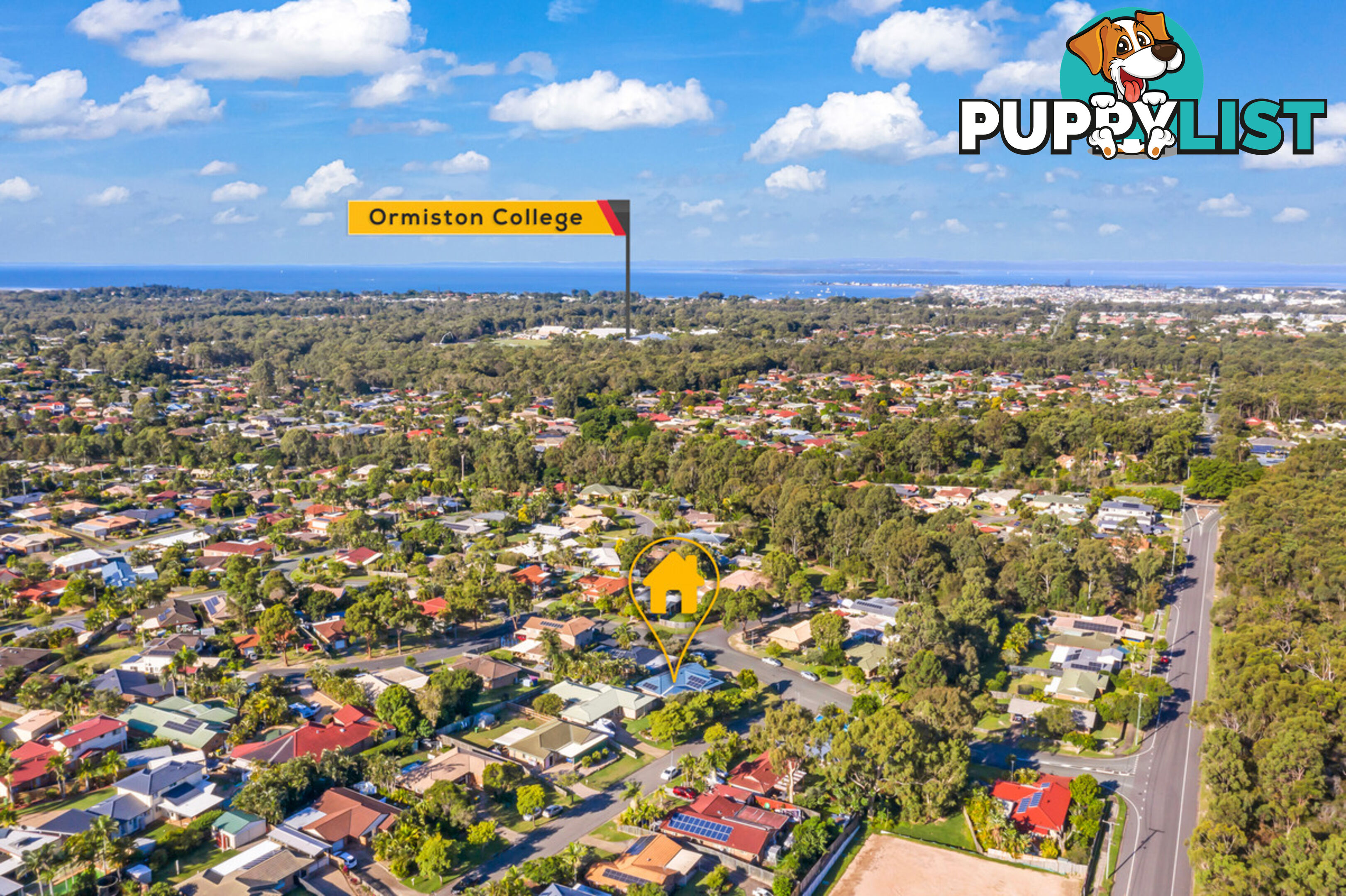 8 Sapphire Drive ALEXANDRA HILLS QLD 4161
