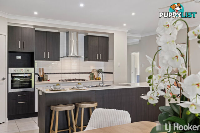 7 Crosby Place CLEVELAND QLD 4163