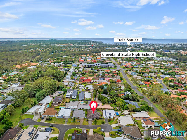 7 Crosby Place CLEVELAND QLD 4163
